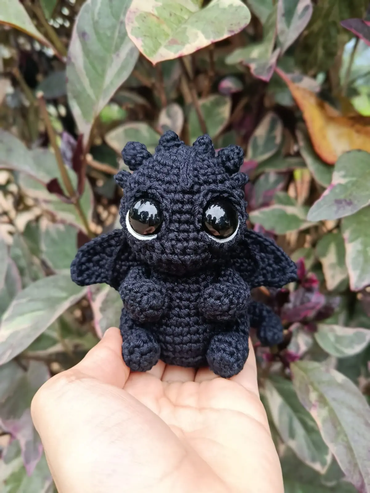 Imagen de Mini Draco