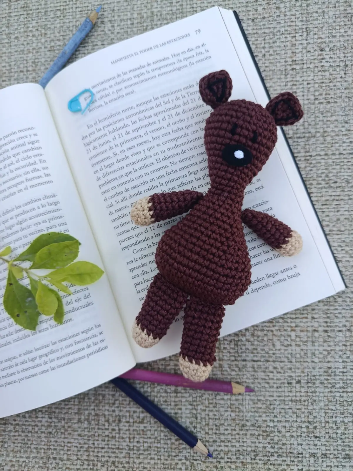 Imagen de Teddy Bear